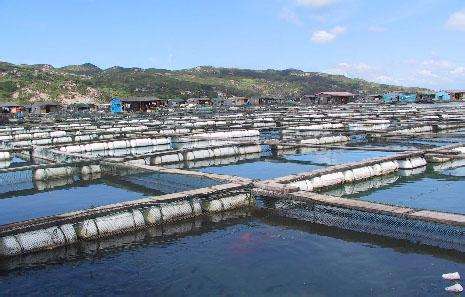 德瑞亞空壓機在連云港生物工程行業(yè)的應用