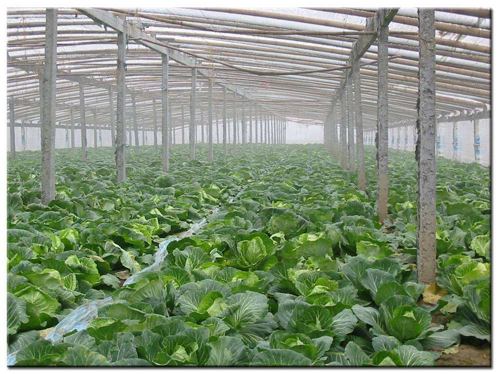 德瑞亞空壓機(jī)助力食品加工，節(jié)能無(wú)止盡